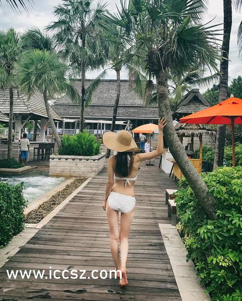 暗黑爆料入口2024最新版,揭秘最新版神秘功能与变革