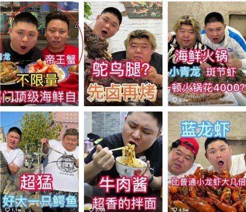 大仔最新爆料,揭秘娱乐圈最新热点事件内幕