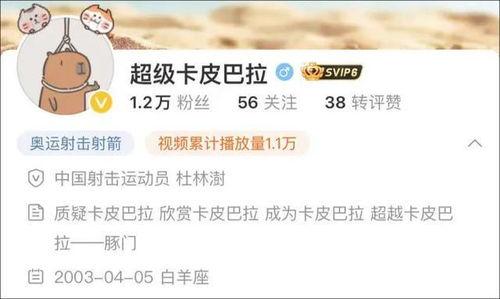 卡哥最新爆料新闻视频播放,最新爆料新闻视频幕后真相大起底