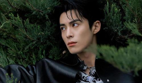 王鹤棣和白鹿最新爆料